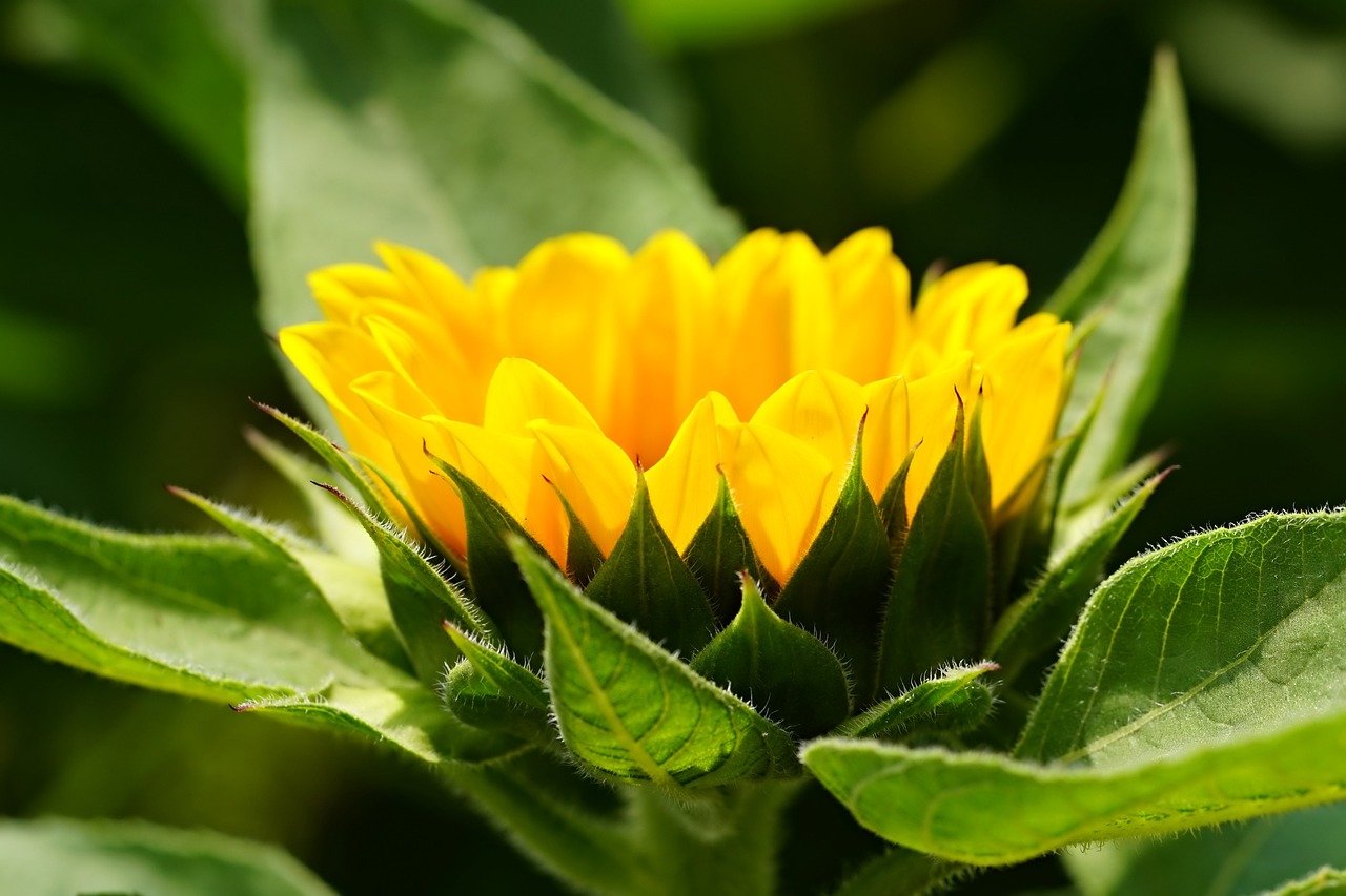 Dosya Adı: illustrasyonlu Resimler -  V0212202303N1205-N174.jpg
Dosya Boyutu: 138.76 KB
06-11-2024, 06:16 AM