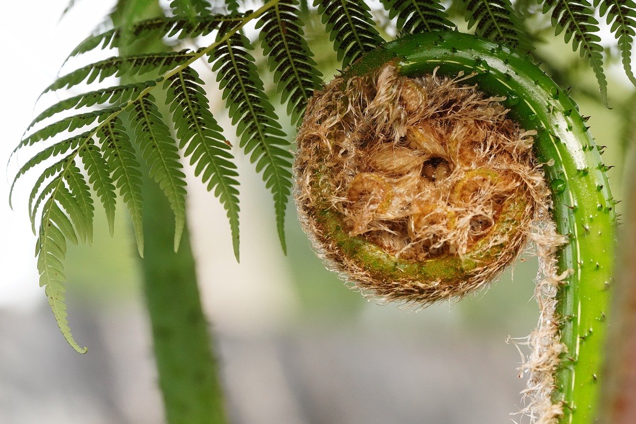 Dosya Adı: illustrasyonlu Resimler -  V0212202303N1222-N99.jpg
Dosya Boyutu: 252.06 KB
06-11-2024, 06:16 AM