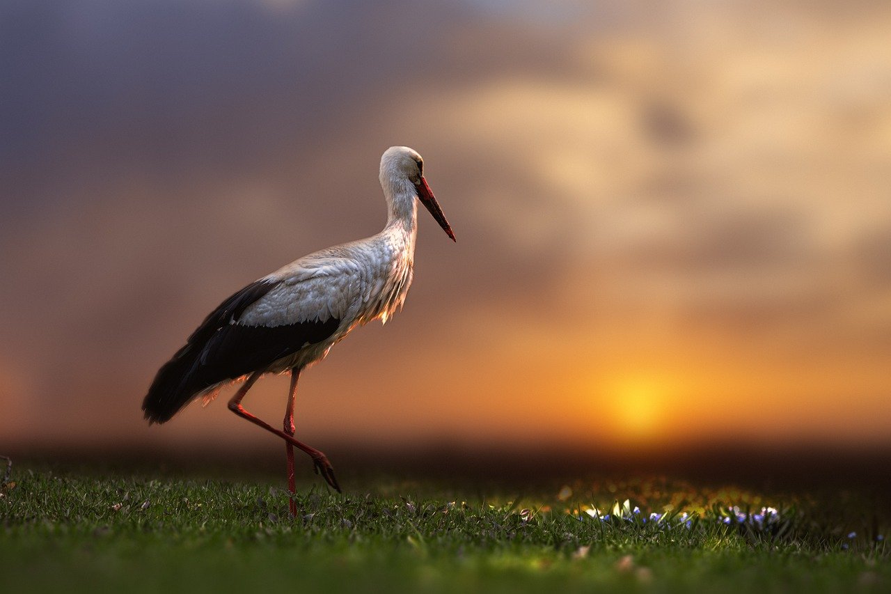 Dosya Adı: illustrasyonlu Resimler -  V0212202303N1234-N56.jpg
Dosya Boyutu: 109.83 KB
06-11-2024, 06:16 AM