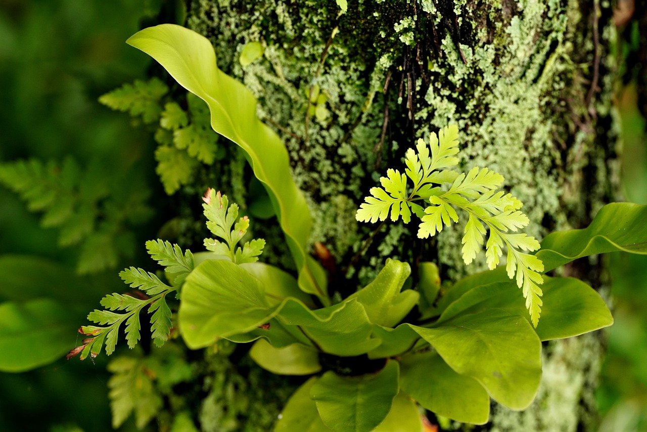 Dosya Adı: illustrasyonlu Resimler -  V0212202303N1248-N151.jpg
Dosya Boyutu: 215.6 KB
06-11-2024, 06:16 AM